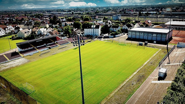 術統籌能力 術統籌能力