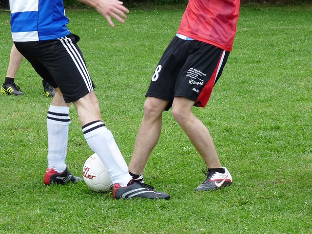 巨星的信任 巨星的信任