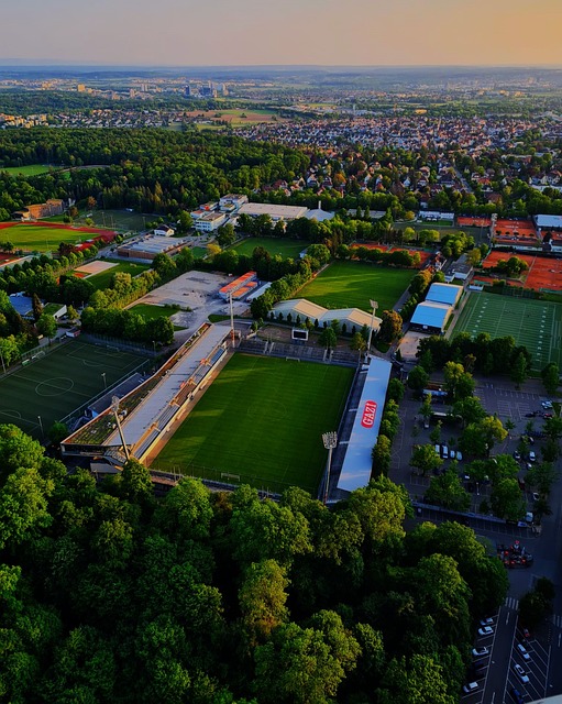 体育活动 体育活动