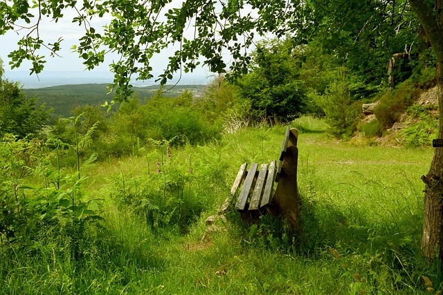 队也在密切 队也在密切